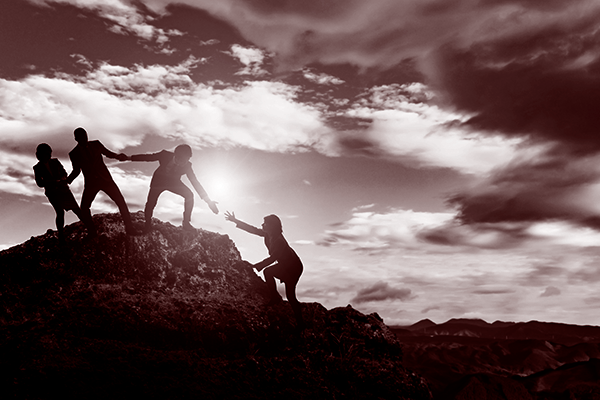 Pull up the team image